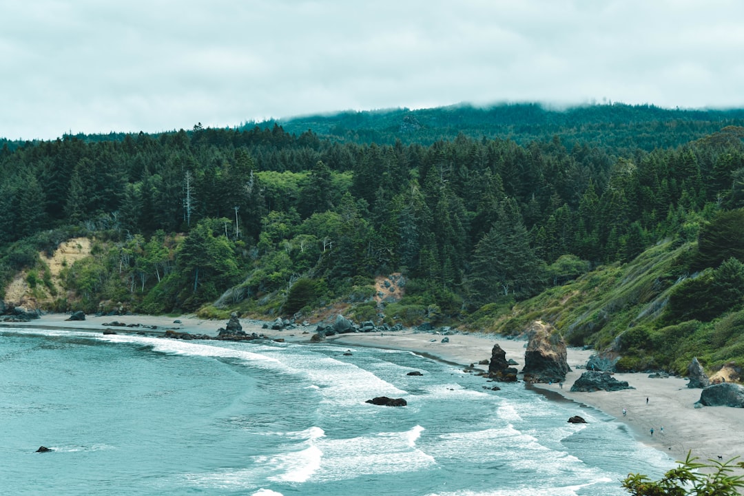 The Magic of Forest Bathing: Reconnecting with Nature The Magic of Forest Bathing: Reconnecting with Nature
